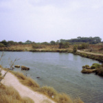 Motyé et l'île San Pantaleo, la cité phénicienne