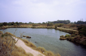 Mozia e l'isola San Pantaleo