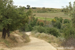 Cresta di Gallo, Mokarta, Salemi