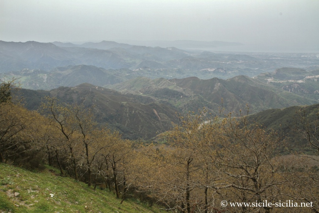 Panorama sur le détroit de Messine, Dinnammare