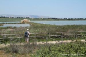 Etang Pantano Grande, réserve de Vendicari, Sicile