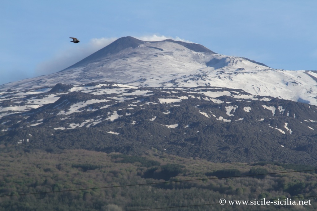 Flan nord de l'Etna, SS 120