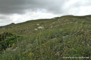 Mont Adranone, Sambuca di Sicilia