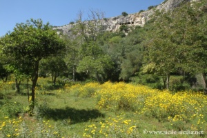 Petit verger d'agrumes et village rupestre de Pernamazzoni, Cava d'Ispica