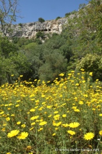 Petit verger d'agrumes et village rupestre de Pernamazzoni, Cava d'Ispica