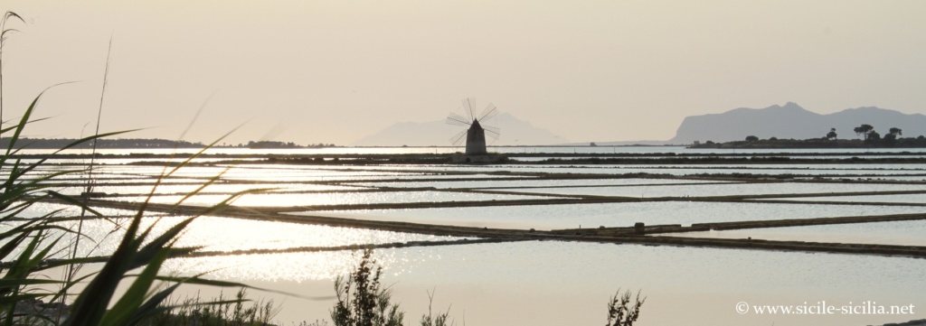 Réserve des salines et de l'étang de Marsala, Sicile