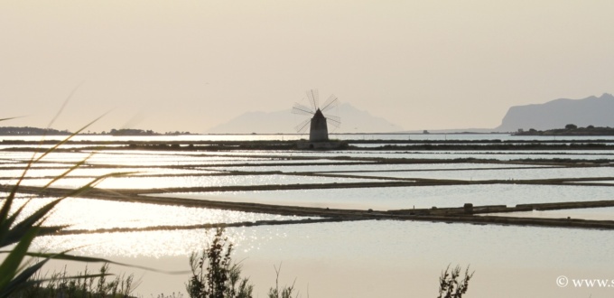 Réserve des salines et de l'étang de Marsala, Sicile