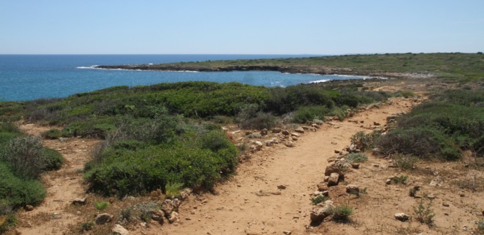 Sentier de la réserve de Vendicari
