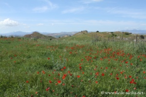 Rocca di Entella, Sicile