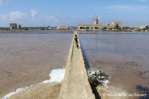 Salines de Trapani et Paceco
