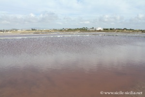 Salines de Trapani et Paceco