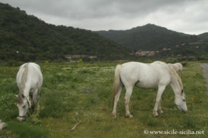 Vallée de l'Agro, Sicile