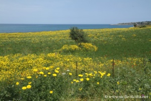 Côte du site du sanctuaire Notre Dame d'Adonai, Brucoli