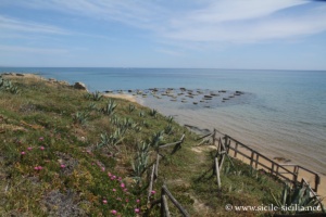 Plage des Anticaglie, Kaukana