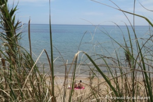 Plage des Anticaglie, Kaukana