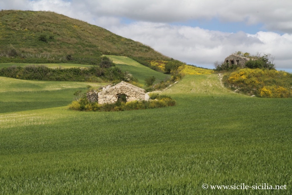 Route entre Vizzini et Mineo