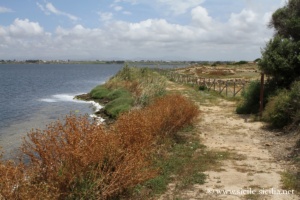 Vestiges, côte nord de Motyé