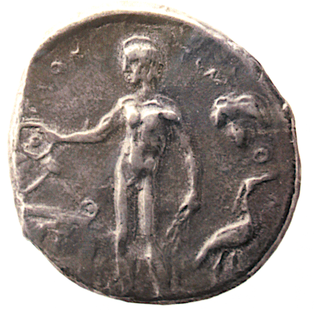 Avers didrachme, musée de Solonte
