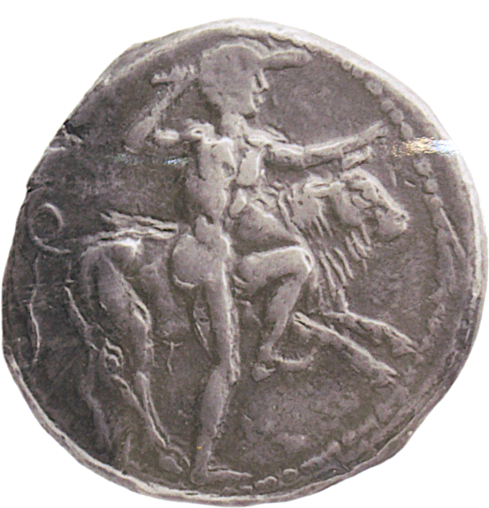 Revers didrachme, musée de Solonte