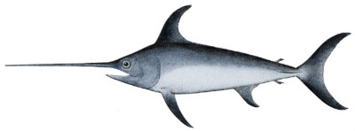 Plats siciliens à base de poisson