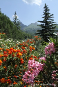 Paysage à Novara di Sicilia