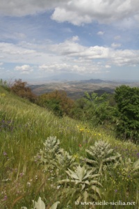 Panorama des ruines du château Castellaccio d'Aidone en Sicile