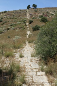 Via Ippodamo, site archéologique de Solonte, Sicile