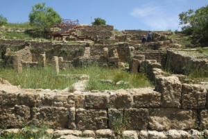 Prytanée, Morgantina