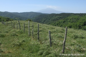 Plateau de l'Argimusco en Sicile