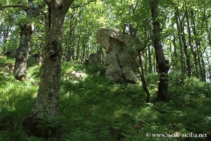 Bois de Malabotta, Montalbano Elicona, Sicile
