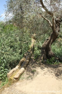 Jardin de la Kolymbethra, Vallée des Temples d'Agrigente