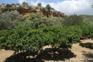 Jardin de la Kolymbethra, Vallée des Temples d'Agrigente