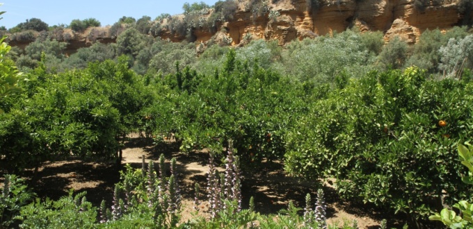 Jardin de la Kolymbethra, Vallée des Temples d'Agrigente