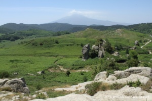 Plateau de l'Argimusco, mégalithes, Montalbano Elicona, Sicile