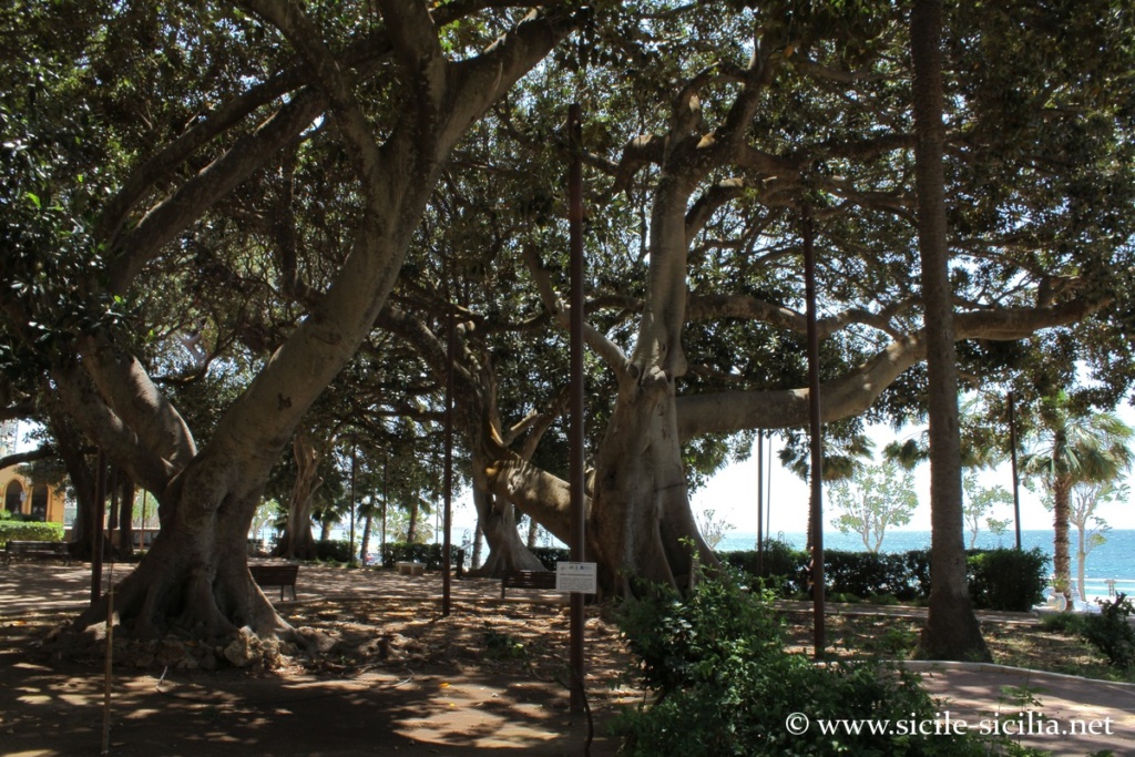 Jardin public, Mazara del Vallo