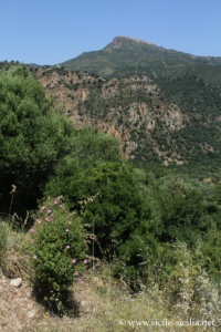Gorges de Tibère et vallée du Pollina, Sicile