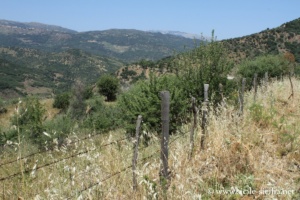 Les Madonie, SP60 entre San Mauro Castelverde et Gangi