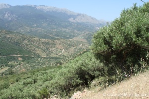 Les Madonie, SP60 entre San Mauro Castelverde et Gangi