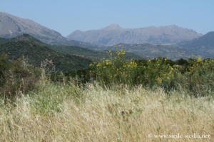 Les Madonie, SP60 entre San Mauro Castelverde et Gangi