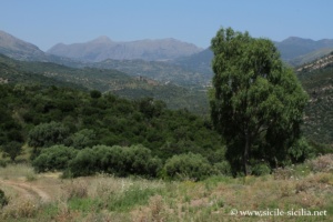 Les Madonie, SP60 entre San Mauro Castelverde et Gangi