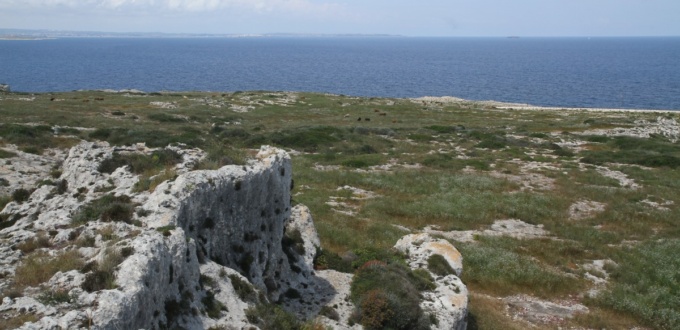 Punta Cannone, Syracuse