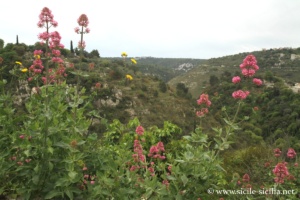 Paysage alentour de Ferla