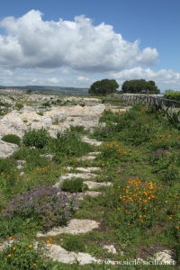 Acropole d'Akrai antique, Palazzolo, Sicile