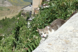 Chat, Piazza Loreto et belvédère, Petralia Soprana