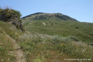 Mont des Roses, Palazzo Adriano