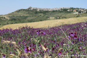 Petralia Soprana en Sicile