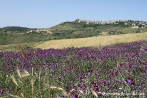Paysage de Petralia Soprana en Sicile