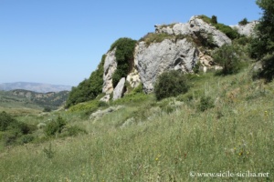 Pierre de Salomon, Palazzo Adriano