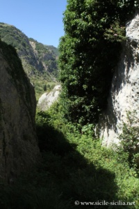 Pierre de Salomon, Palazzo Adriano