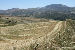 Vallée du Sosio, Palazzo Adriano